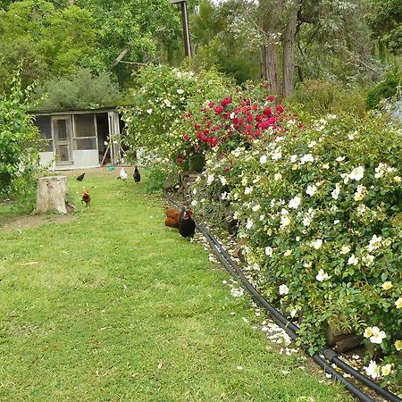 Camawald Coonawarra Cottage B&B Room photo