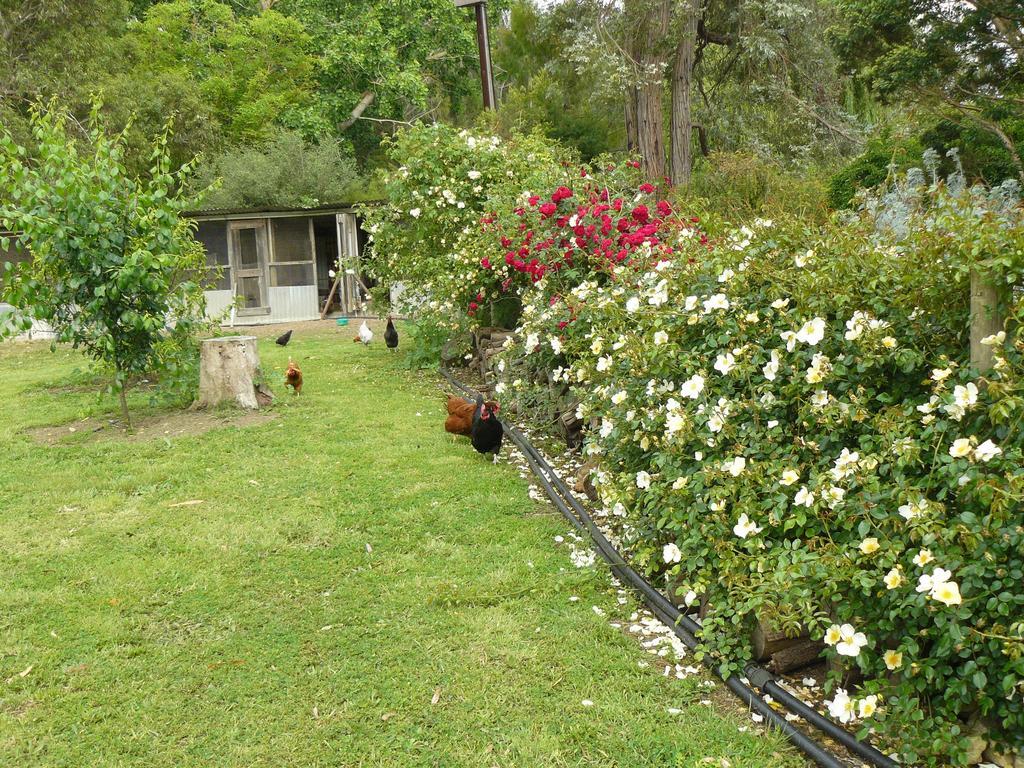 Camawald Coonawarra Cottage B&B Room photo